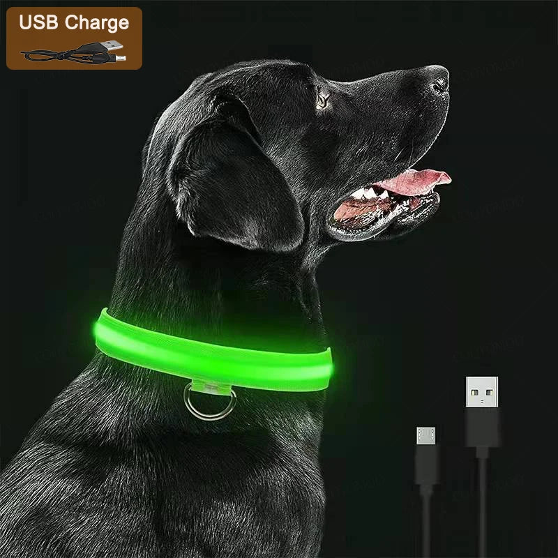 USB-Rechargeable Light-Up Dog Collar