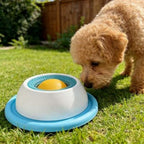 Rolling Lick Feeder for Dogs & Cats