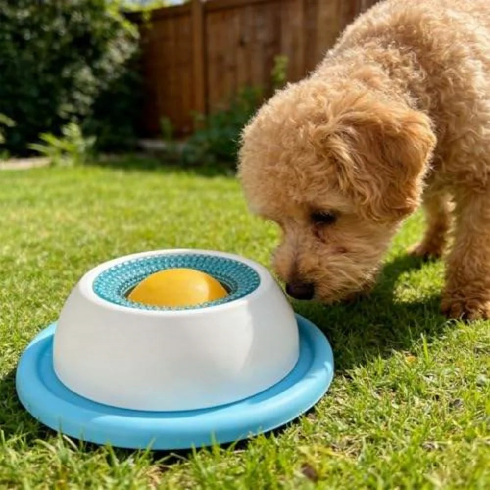 Rolling Lick Feeder for Dogs & Cats