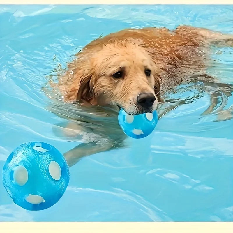 Floating Water-Play Dog Ball