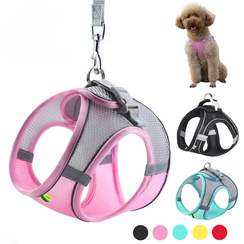 Reflective mesh harness and matching leash for small dogs
