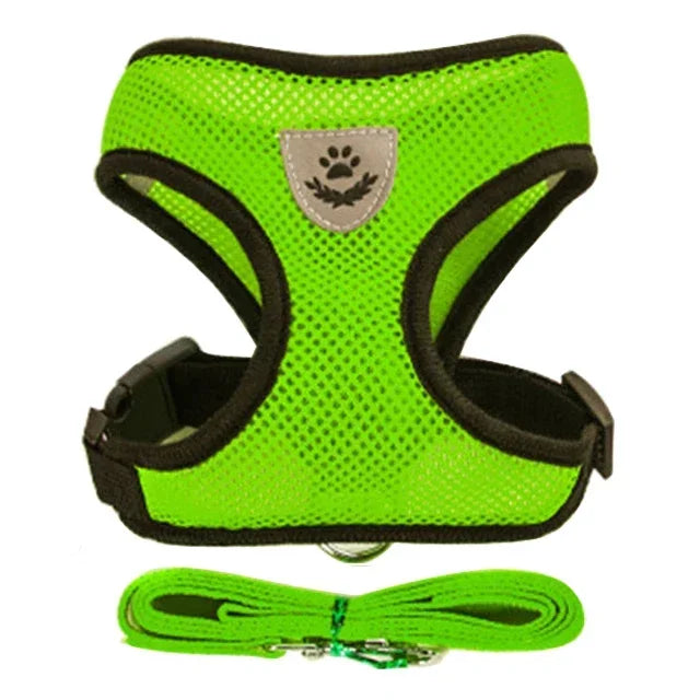 Green mesh harness and matching leash