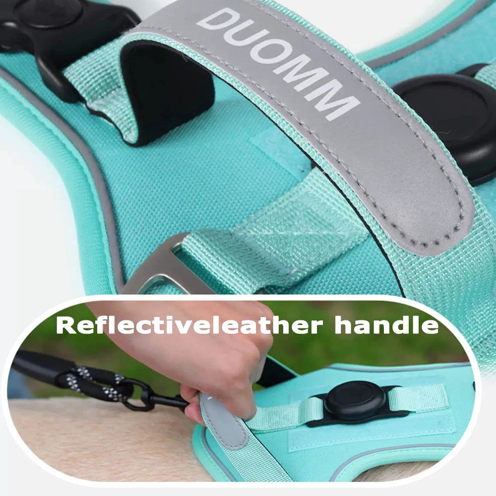 Tracker-Holder Dog Harness & Leash Set — product view 4