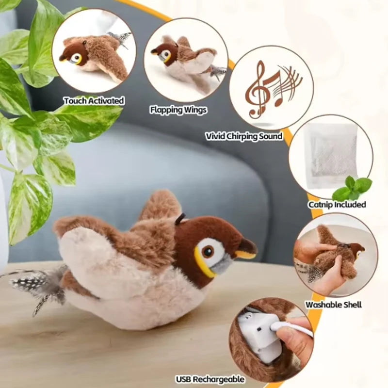 Touch activation, catnip pouch and removable mechanism details
