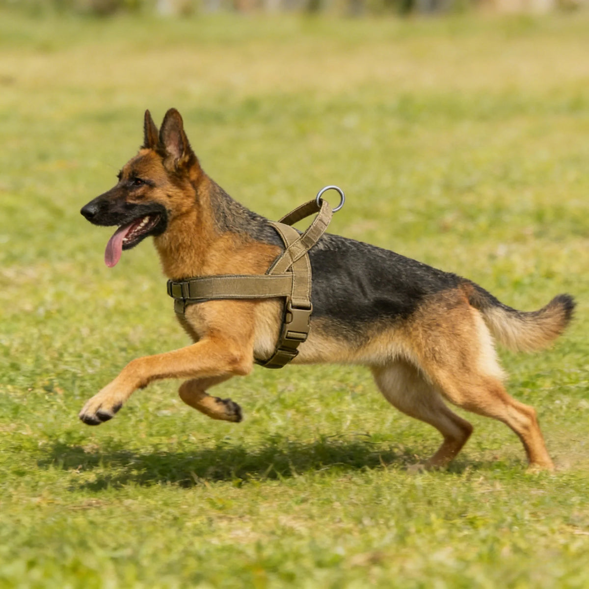 Reflective No-Pull Dog Harness with Handle