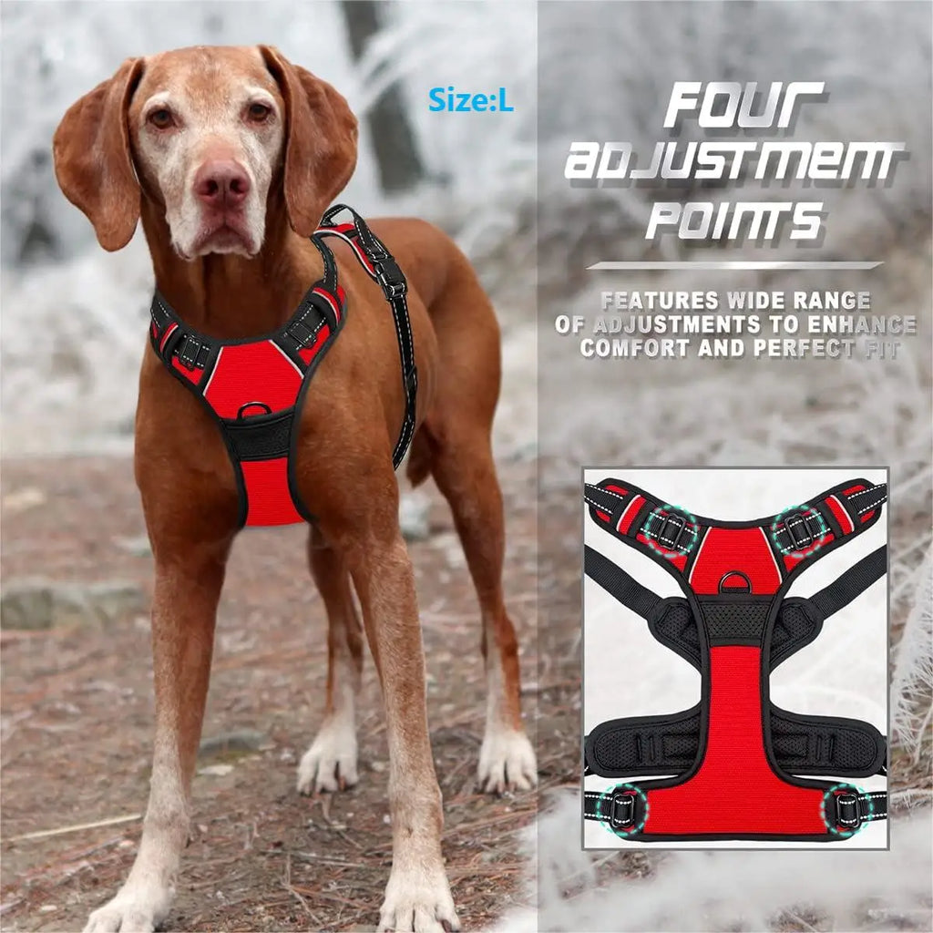Red dual-clip dog harness from the front