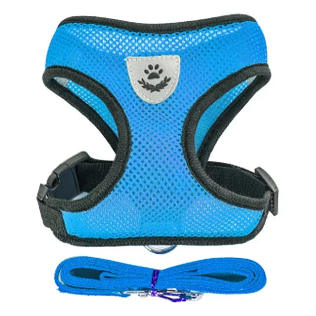 Blue mesh harness and matching leash