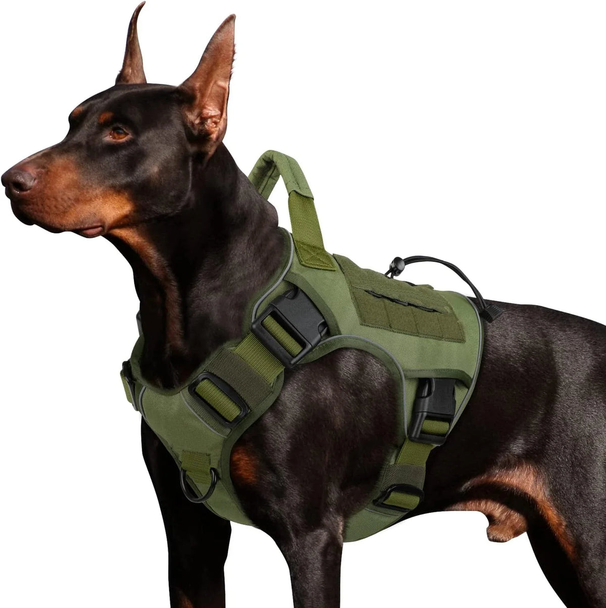 Army green tactical dog harness