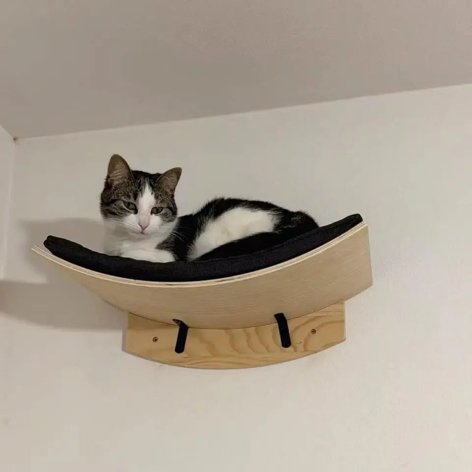 Cat resting on a curved carpeted wall perch