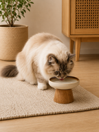 Cat drinking from the cream ceramic bowl on its wood stand